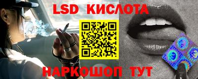 шишки Шебекино