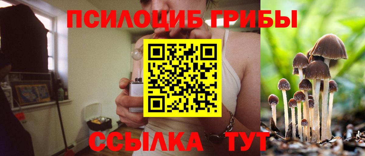 Псилоцибиновые грибы прущие грибы  Вход с VPN  Псилоцибиновые грибы мицелий  Соль-Илецк 
